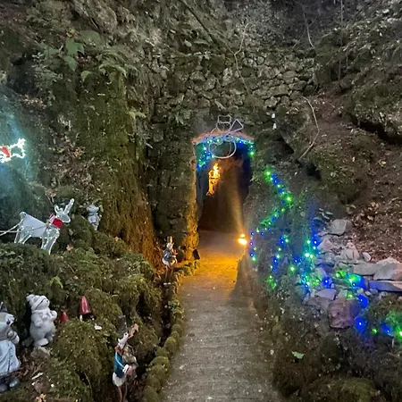 Da Mirko E Ale Appartamento Pellio Superiore